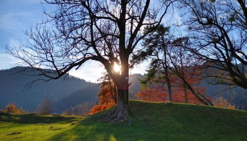 Ferienwohnung Resch Schweinberg - Foto 2