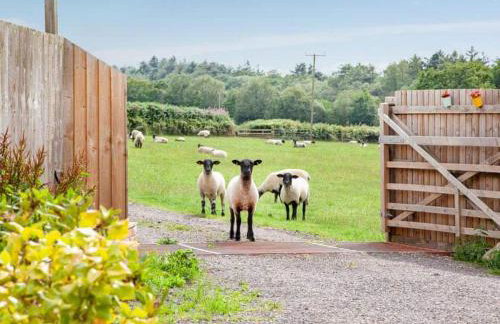 2-Bed Cottage Sleeps 4 with Hot Tub - Foto 26