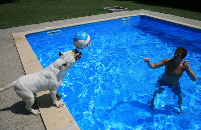 Kerca Bio Farm - Photo 49