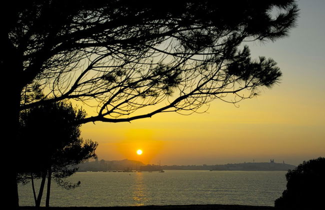 Aparthotel Attica21 As Galeras - Photo 53