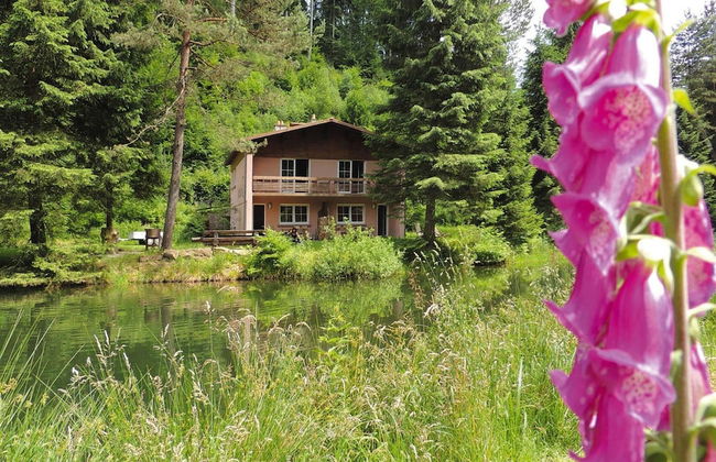 Apartment in a Charming Location on Forellenhof, Zorn Valley, Dabo - Foto 65