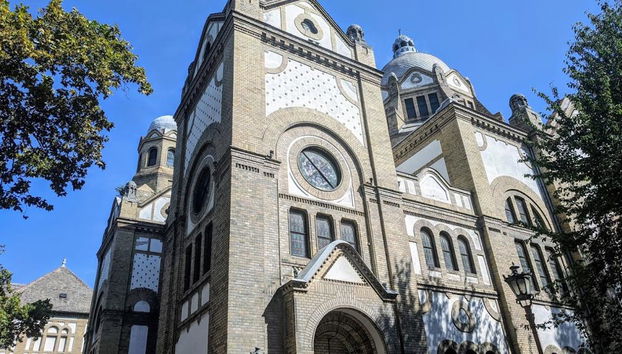 Excursión al norte de Serbia: Novi Sad y Sremski Karlovci - Foto 3