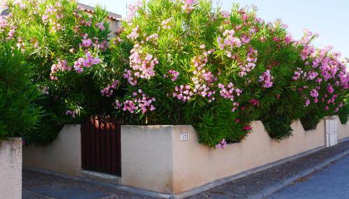 Lagon 173 - Maison de Vacances - 3 Chambres - Photo 5