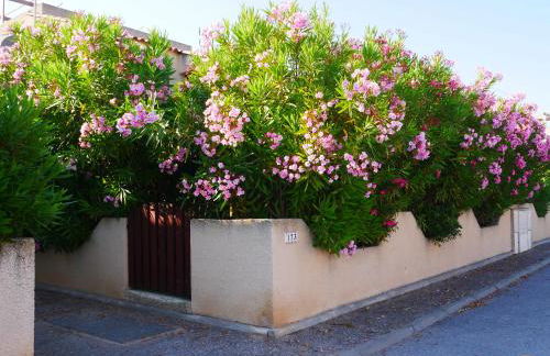 Lagon 173 - Maison de Vacances - 3 Chambres - Photo 5