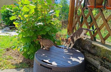 Rifugio Futopia - start here your journey to the discovering of the Alpi Graie - Foto 10