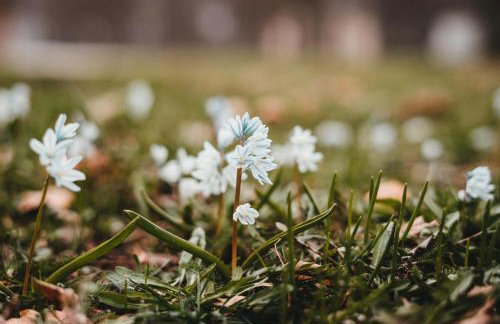 Lautertal Zinne - Photo 12