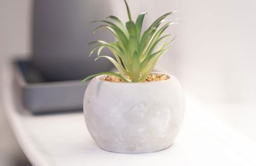 Charmante Wohnung am Drachenfels - Foto 11