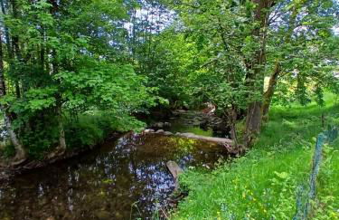 Gite de l'Ours - Foto 9