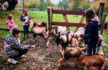 Le Gite du Ranch Normand - Photo 33