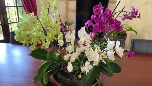 Villa Lámpara en la colina - Foto 2