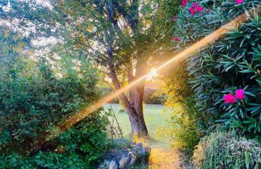 Les Jardins du Soleil - Foto 8