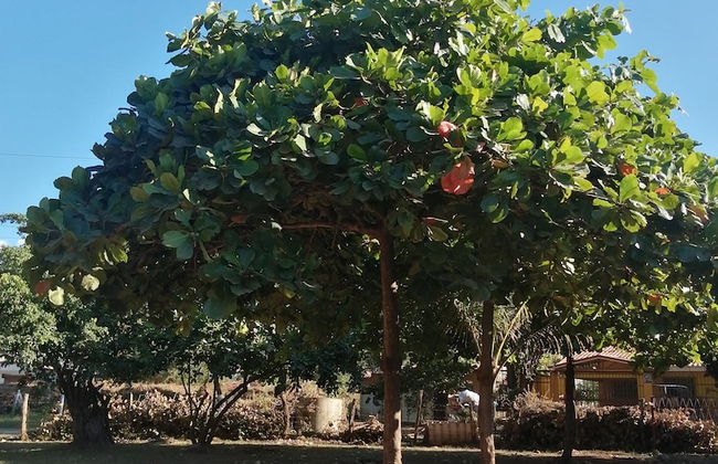 Las Quintas Casas para Vacacionar - Photo 36