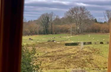 Les Maisons du Bonheur & Balnéo - Photo 32