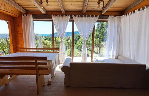 Vineyard house - Foto 13