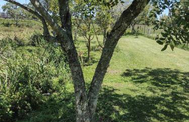 Pousada das Palmeiras - Foto 36