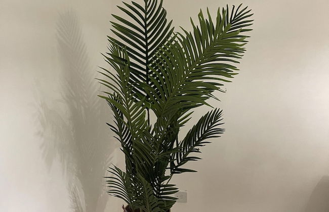 Deptford - 1 Bed - 1 Bathroom - Parking - Foto 10