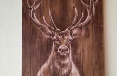 mcastet, casita aranesa en el valle de aran - Foto 15