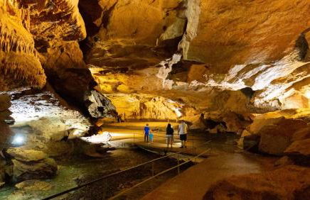 Peaceful Smoky Treehouse| Hot Tub • Hammock • Deck - Foto 41