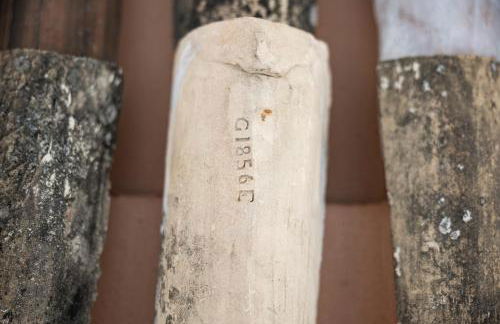 Essa Suites - NEW - Foto 67