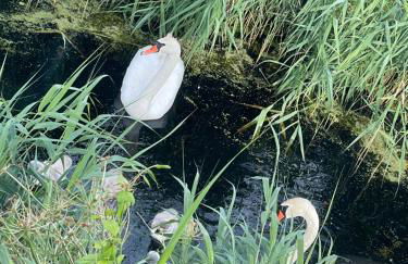 Whitstable Vacation - Foto 12