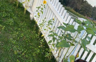 Koperkowy Raj Beskid Wyspowy Domek Małopolska Jacuzzi Playroom - Foto 43