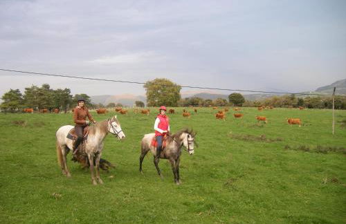 Casa Rural El Ribero II - Photo 29