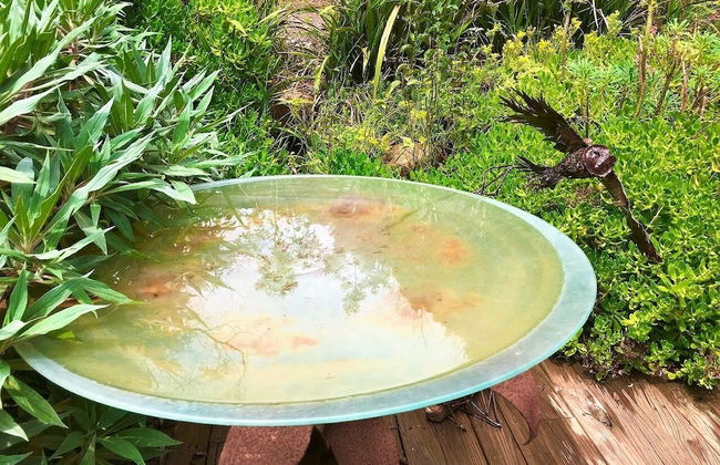 Sutton Spring Art Retreats - Foto 57