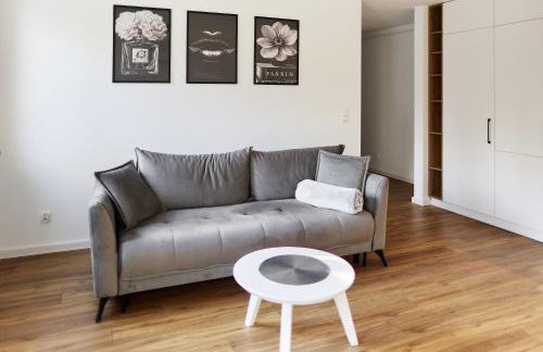 Park & Town Apartment - Foto 17