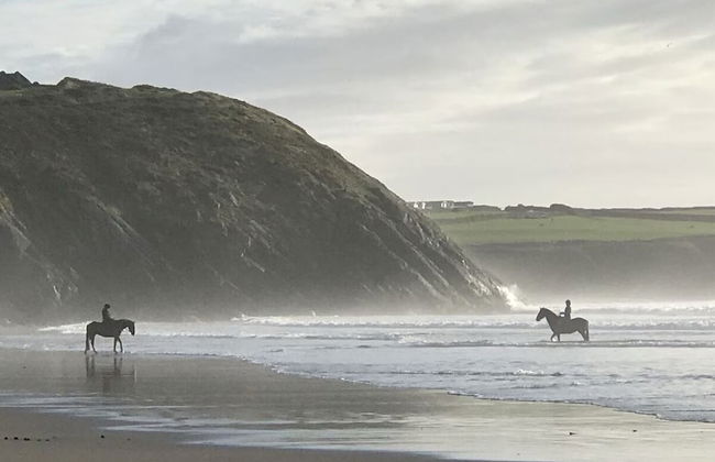 Swn y Môr - 1 Bedroom Cottage - Whitesands - Foto 23