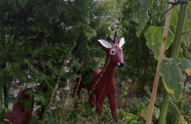 Apartments zum Brauergang - Foto 21