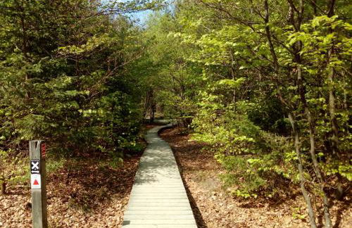 Mia und Michel im Sauerland - Foto 16