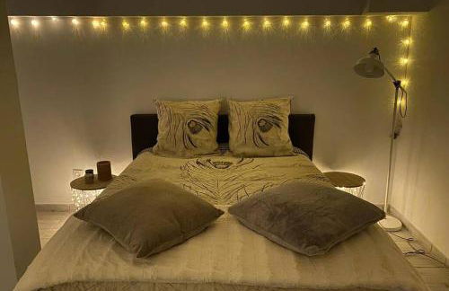 Villa des Oliviers avec piscine - Foto 13