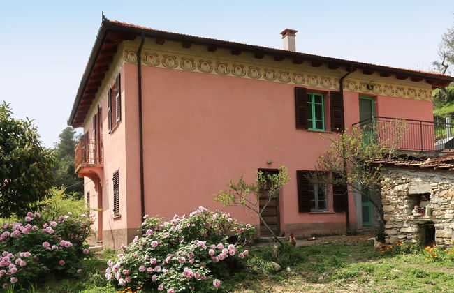 Oasi Colorata - Foto 2