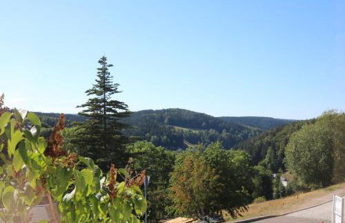 Ferienwohnung Gläser - Foto 20