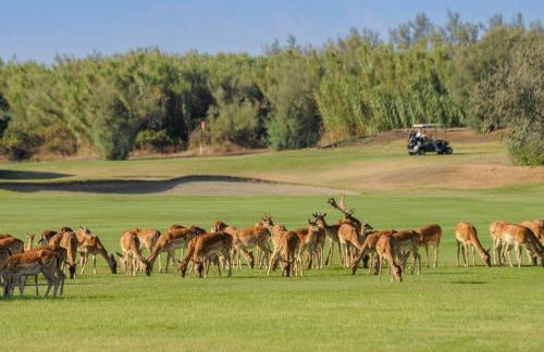 Isola di Albarella - Foto 28