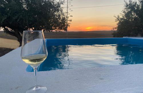 Canto da Planície - Foto 55