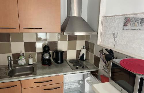 Studio rez-de-chaussée, à Lesquin/Lille aéroport - Photo 4