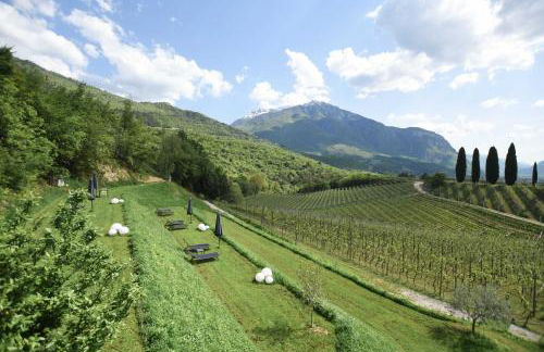 Agritur Casteller - Photo 122