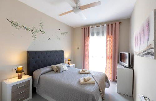 Todimer Celmar - Foto 29