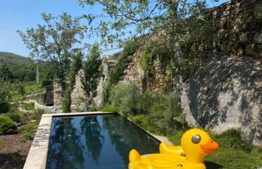 Chalé Mezio - Photo 31