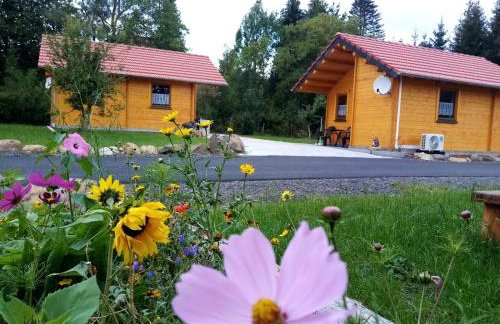 Hotel Grünes Paradies - Foto 6