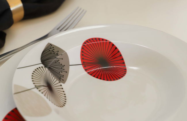 Rosablanche D26 - Photo 14