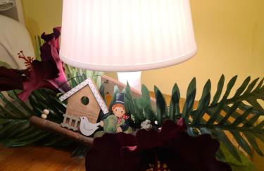 Mansarda Vigezzina Locazione Turistica - Foto 65