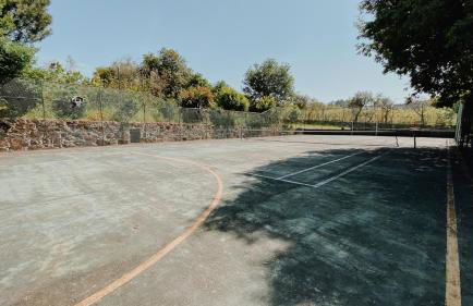 Quinta Do Padrao - Foto 15