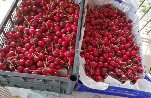 Agriturismo Nuvolino - Foto 6