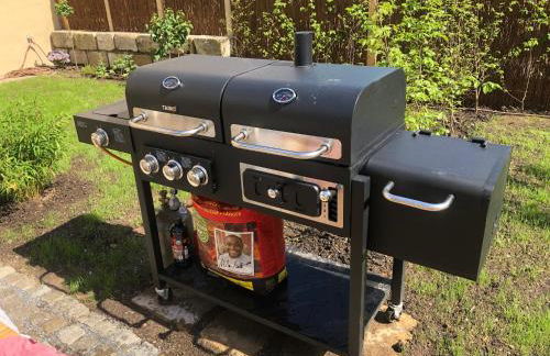 Alte Brennerei Schloss Zehista OG Akelei - Photo 42