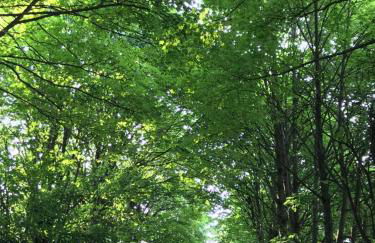 Welcome Home + Terrasse - Photo 17