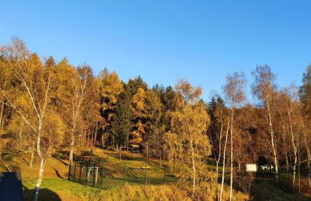 Feriendomizil Am Hochwald - Foto 1