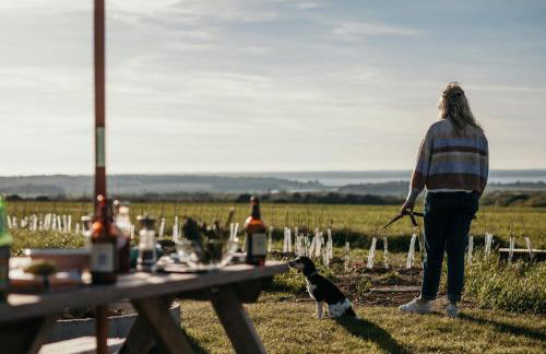 Dome Meadow 5 With Outdoor Tub At Tapnell Farm - Foto 27