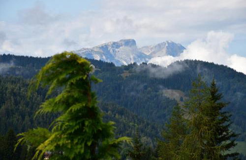 Chalet Orlando - Foto 19